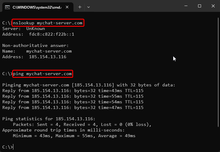 результат работы ping и nslookup